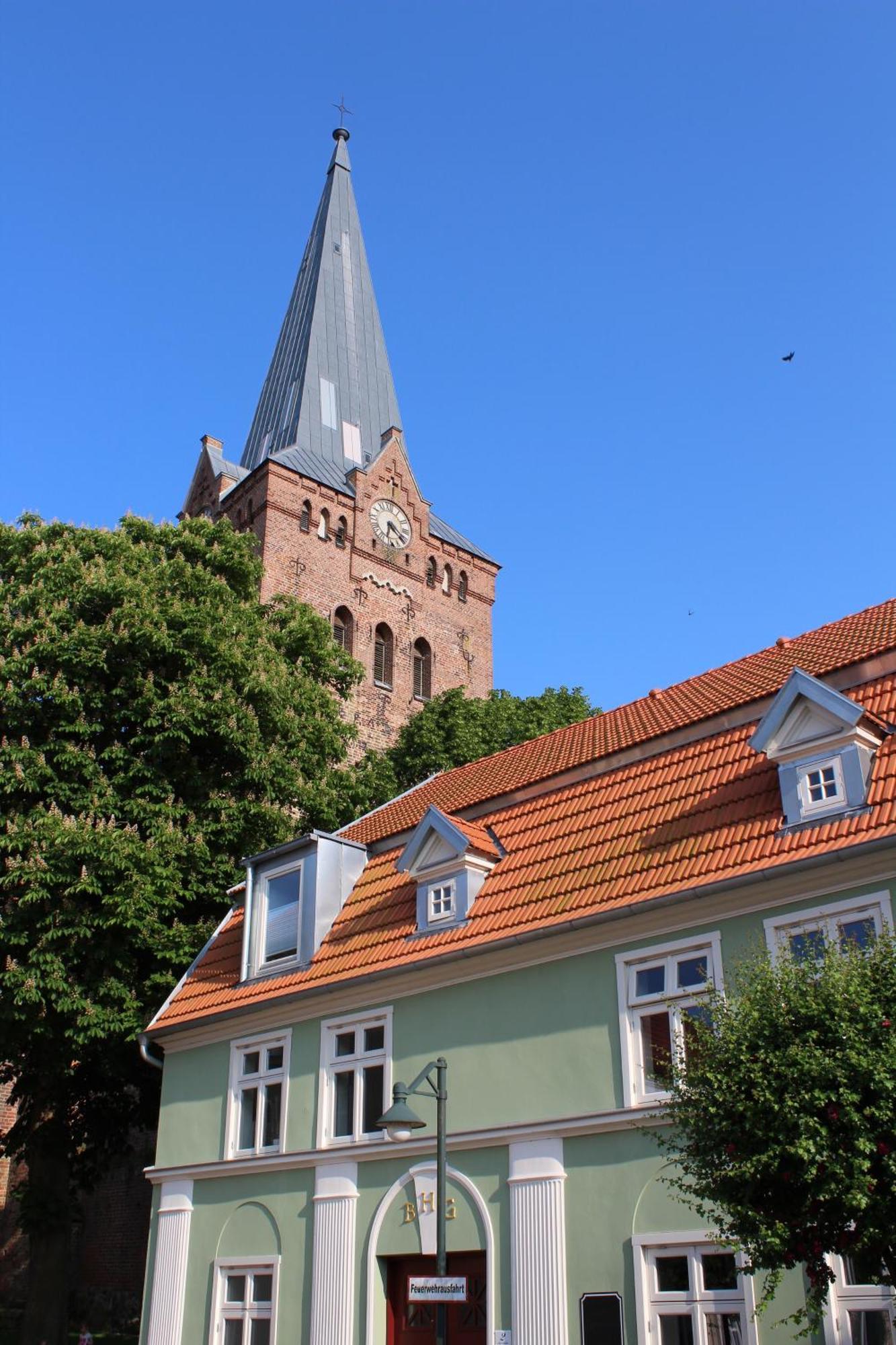 Turmfalke
